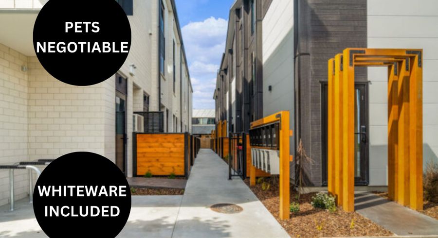  at 5/128 Salisbury Street, City Centre, Christchurch City, Canterbury