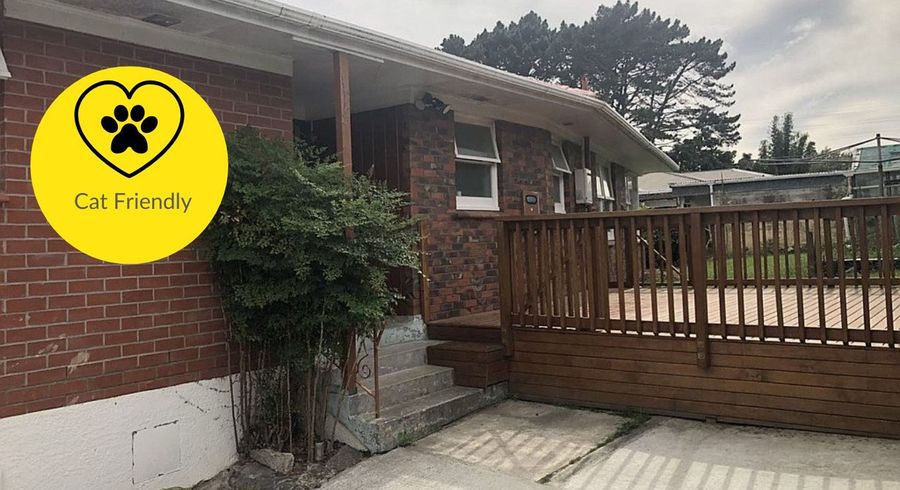  at 41 Anita, Mount Roskill, Auckland City, Auckland