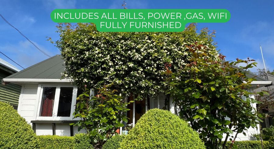  at 29 Hanmer Street, City Centre, Christchurch City, Canterbury