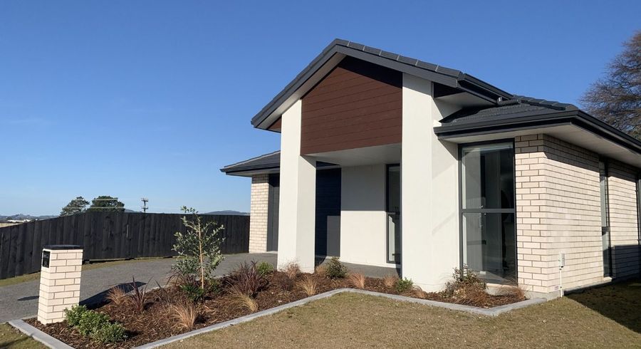  at 19 Omanga Way, Bethlehem, Tauranga, Bay Of Plenty