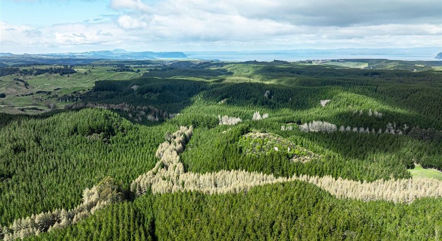 at State Highway 32, Turangi, Taupo, Waikato