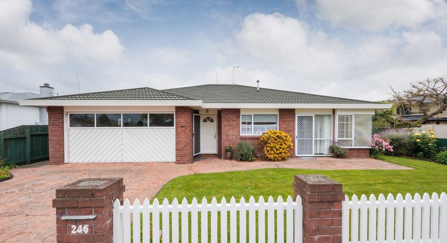  at 246 Albert Street, Hokowhitu, Palmerston North