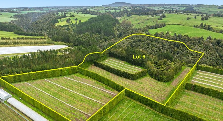  at Lot 6/1010 Te Matai Road, Te Puke, Western Bay Of Plenty, Bay Of Plenty