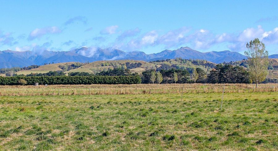  at 85 Budd Road, Upper Plain, Masterton