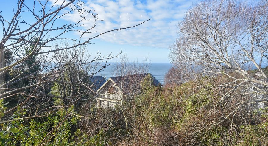  at 37 Aberdeen Road, Saint Clair, Dunedin