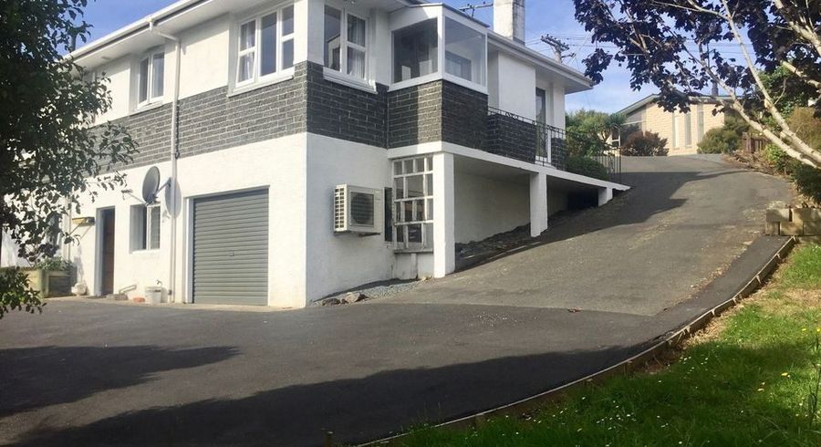  at 17 Tower Avenue, Waverley, Dunedin, Otago