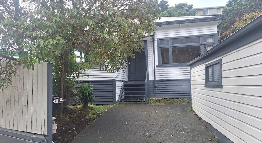  at 221 Ohiro Road, Brooklyn, Wellington, Wellington