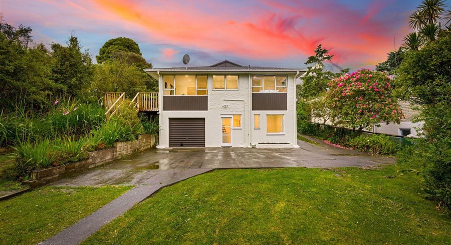 at 53 Pine Avenue, Henderson, Auckland