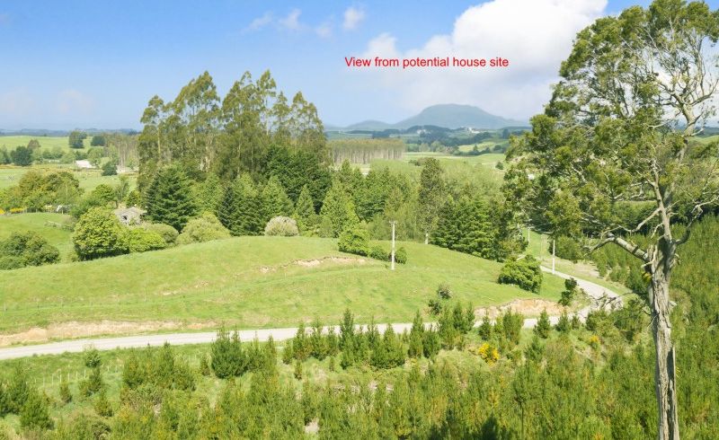  at 67 Tangye Road, Oruanui