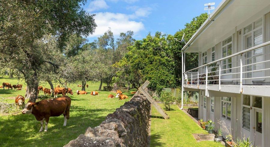  at 1/12 Crescent Road, Epsom, Auckland City, Auckland