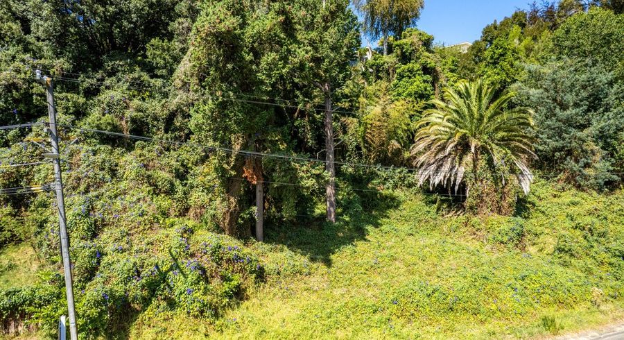  at 56 Ikitara Road, Whanganui East, Whanganui, Manawatu / Whanganui