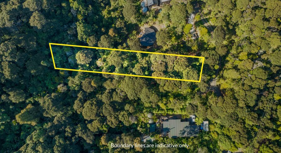  at 19 Hayes Road, Henderson Valley, Waitakere City, Auckland
