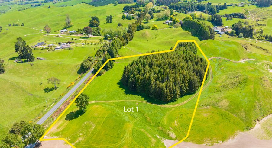  at 324 Palmer Mill Road, Wairakei, Taupo, Waikato