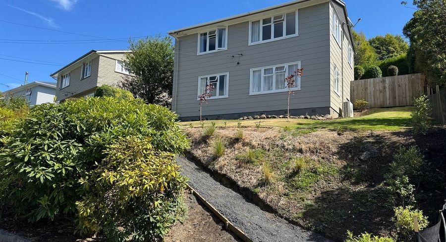  at 46 Cockerell Street, Brockville, Dunedin, Otago