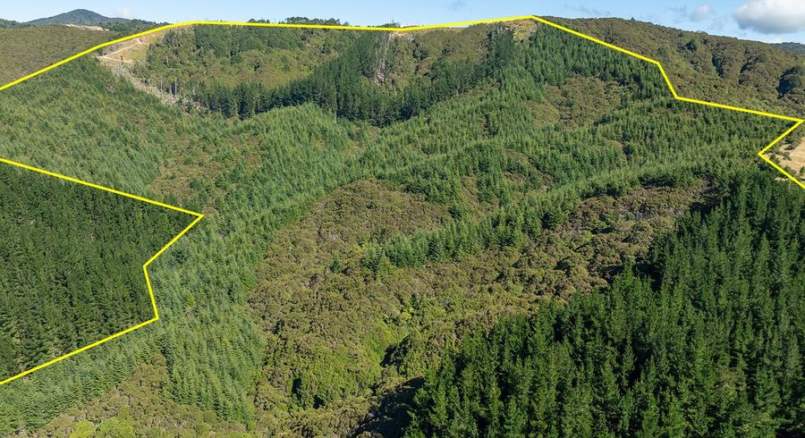  at 0 State Highway 2, Eketahuna, Tararua, Manawatu / Whanganui