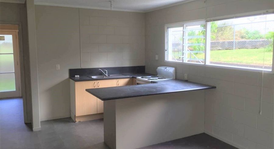  at 17 Don Croot Street, Morningside, Auckland City, Auckland