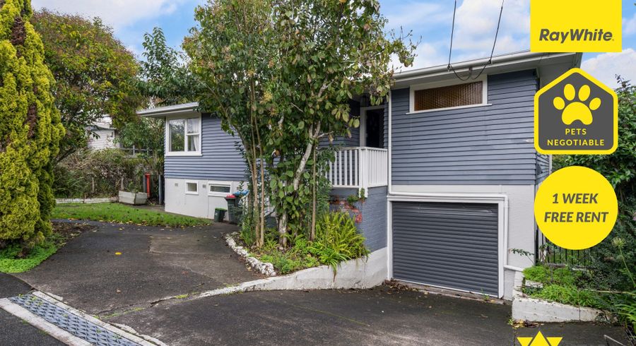  at 14 Pitcairn Place, Avondale, Auckland City, Auckland
