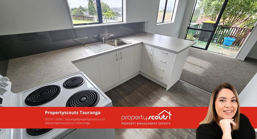  at 17A Hampton Terrace, Parkvale, Tauranga, Bay Of Plenty