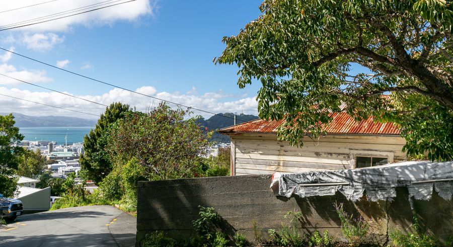  at 1 Asquith Terrace, Brooklyn, Wellington