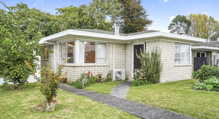  at 49 Rimu Street, Maeroa, Hamilton