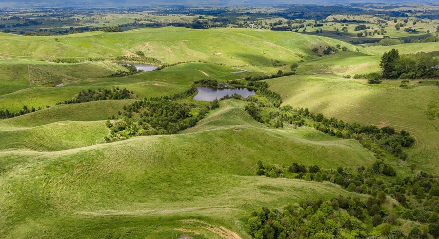  at Lot 2, 205 Oliver Road, Cambridge, Waipa, Waikato