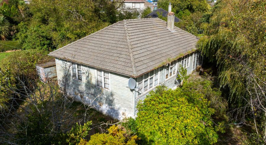  at 41 Dovecote Avenue, Corstorphine, Dunedin