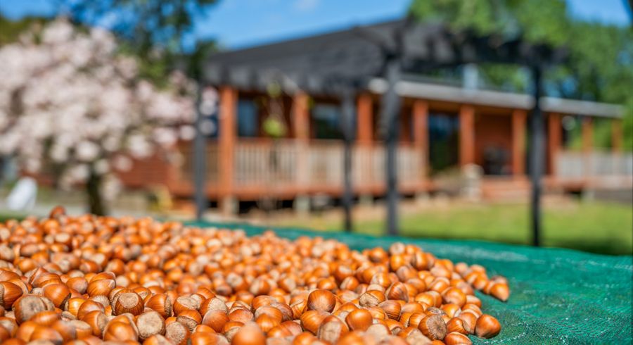  at 191 Tyntesfield Road, Waihopai Valley, Marlborough, Marlborough