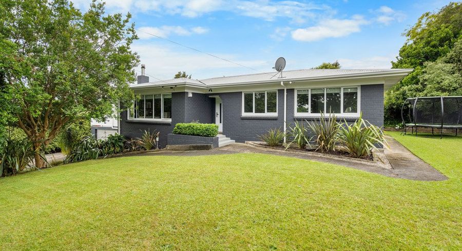  at 20 Mitcham Avenue, Forest Lake, Hamilton