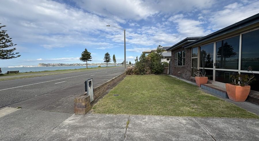  at 81 The Esplanade, Westshore, Napier, Hawke's Bay