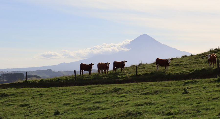  at 102 Manu Road, Stratford East, Stratford, Taranaki