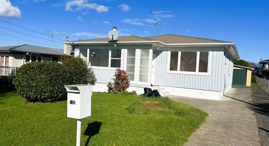  at 17 Allenby Road, Panmure, Auckland City, Auckland