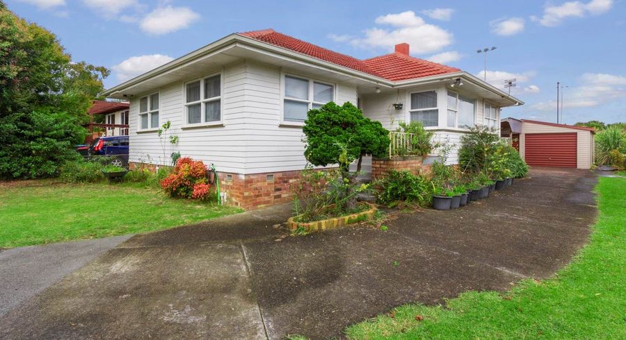  at 20 Laurel Street, Mount Albert, Auckland