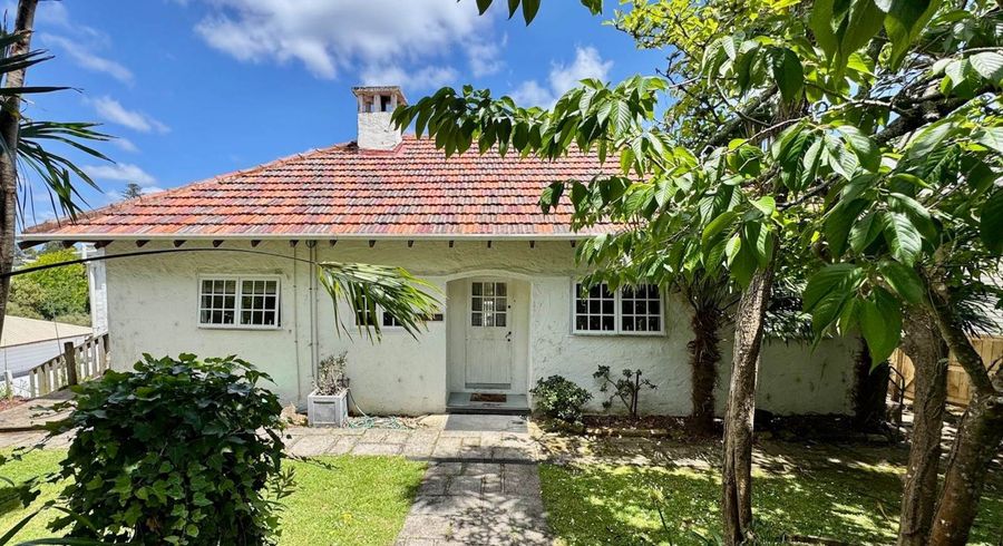  at 19 Belvedere Street, Epsom, Auckland City, Auckland