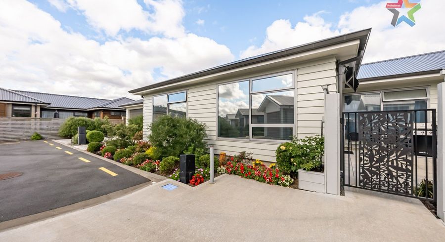  at 5 Tarata Lane, Avalon, Lower Hutt, Wellington