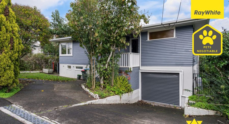  at 14 Pitcairn Place, Avondale, Auckland City, Auckland