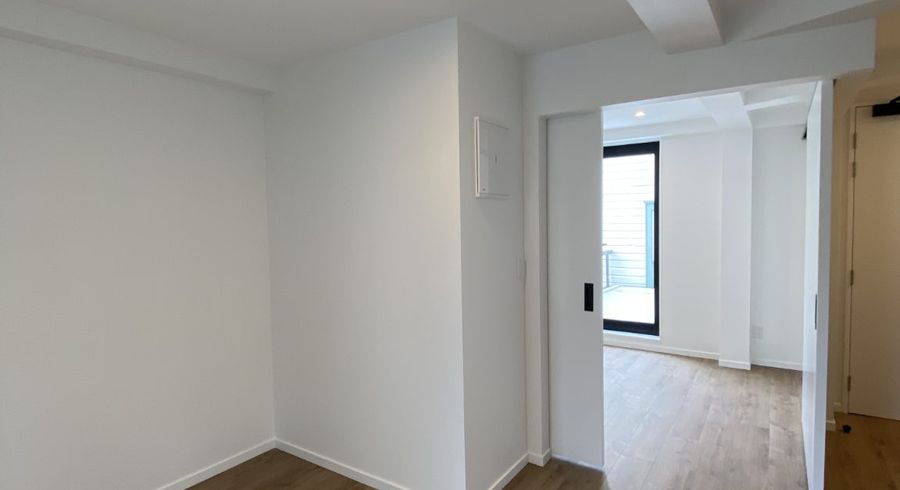  at 3c Honiana Te Puni Street, Aro Valley, Wellington, Wellington