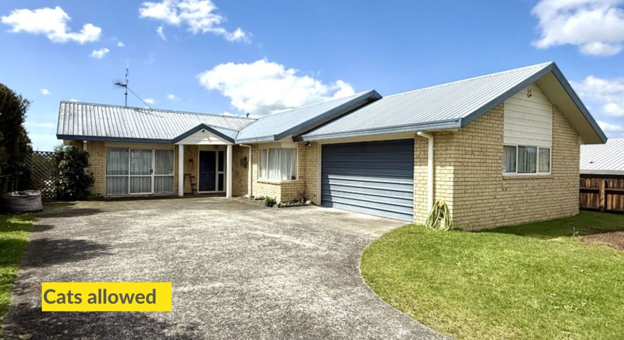  at 147 Sapphire Drive, Hairini, Tauranga, Bay Of Plenty