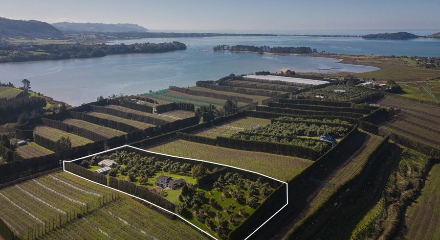  at 210 Tuapiro Road, Tahawai