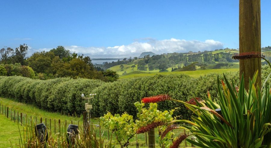  at 43 Goodall Road, Tauranga
