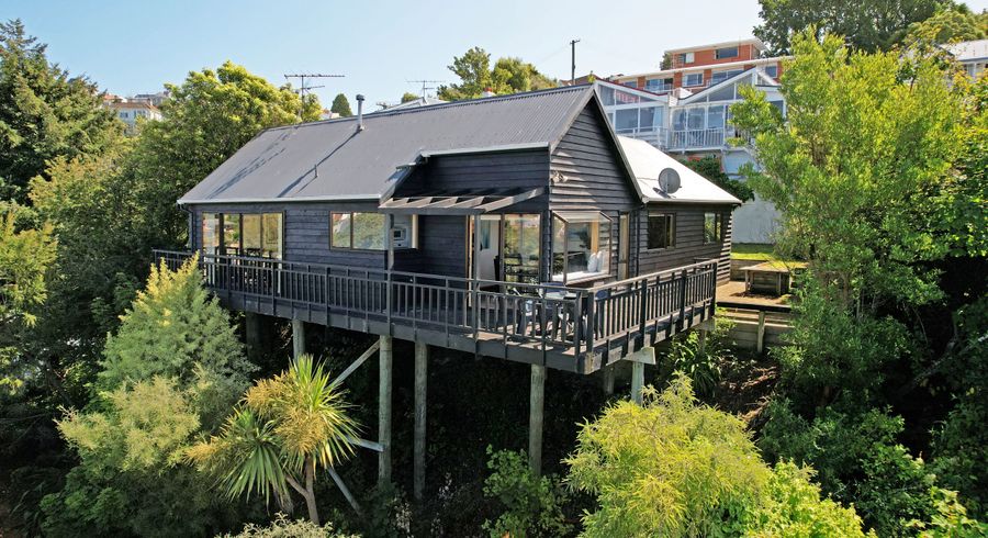  at 25C Canongate, Dunedin Central, Dunedin