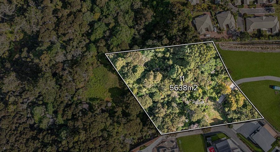  at 22 Anehana Place, Whangaparaoa, Rodney, Auckland