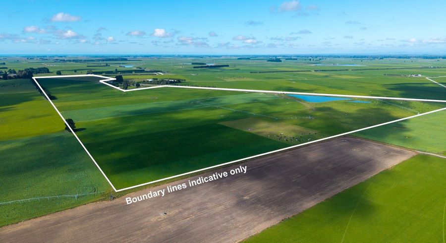  at Rangitata Orari Bridge Highway, Geraldine, Timaru, Canterbury