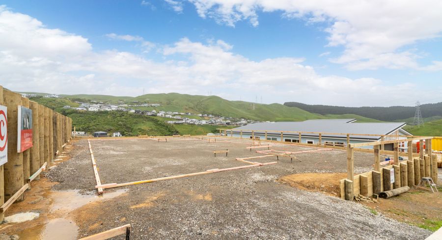  at 53 Crompton Avenue, Churton Park, Wellington, Wellington