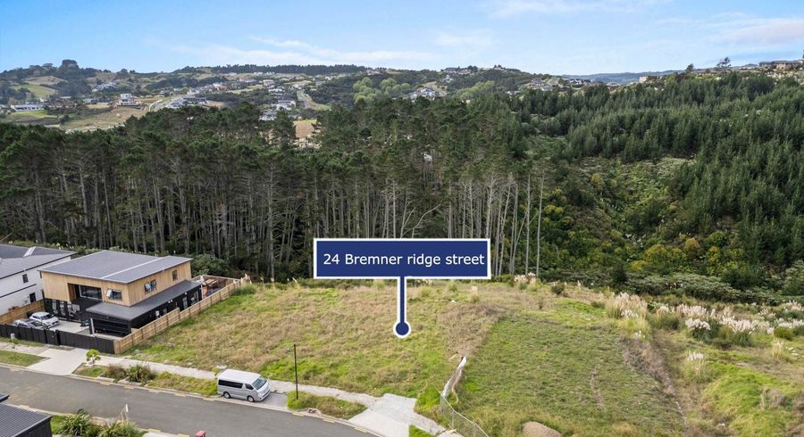  at 24 Bremner Ridge Street, Flat Bush, Manukau City, Auckland