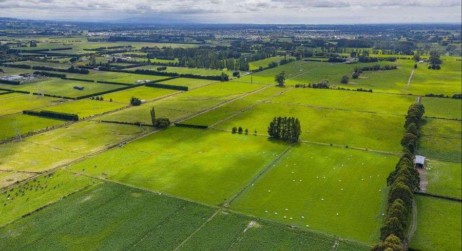  at 249 Plaskett Road, Fernside, Waimakariri, Canterbury