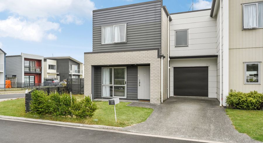  at 12 Anna Jean Crescent, Flagstaff, Hamilton, Waikato