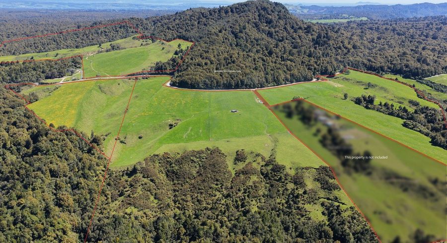  at 869 and 668 Mangatoi Road, Oropi, Western Bay Of Plenty, Bay Of Plenty