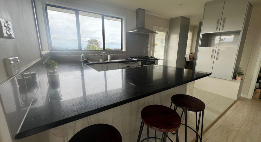  at 17 Bradbury Road, Botany Downs, Manukau City, Auckland