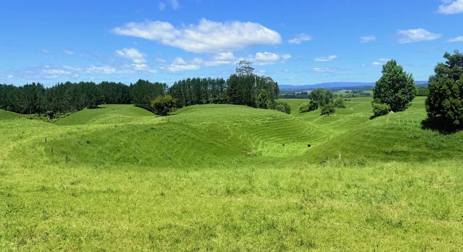 at lot 6/1409 Rangiuru Road, Te Puke, Western Bay Of Plenty, Bay Of Plenty