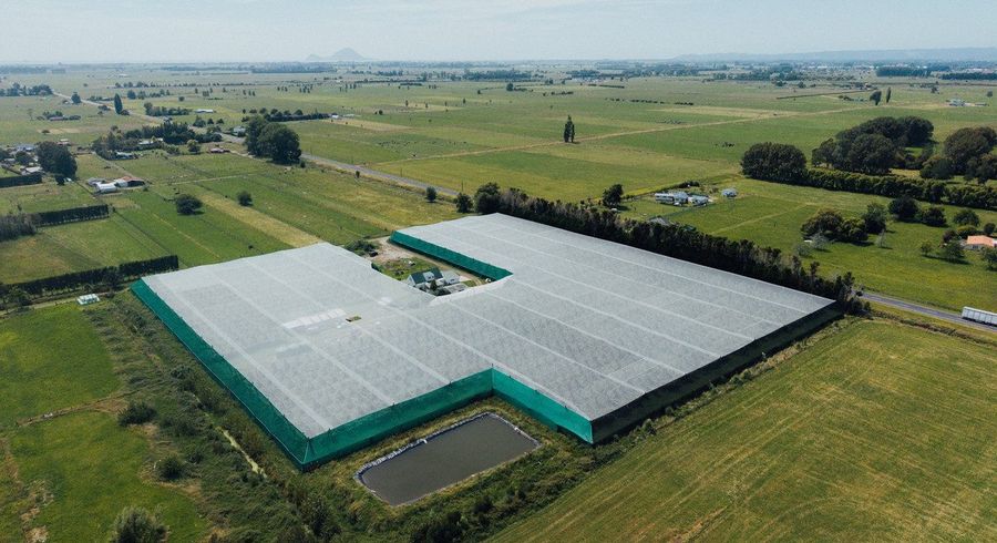  at 206 Awaiti South Road, Otakiri, Whakatane, Bay Of Plenty